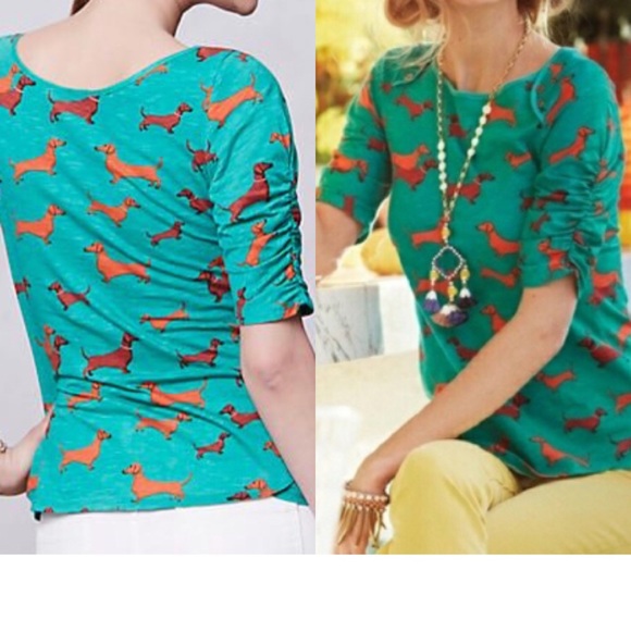 dachshund shirt anthropologie